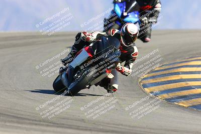 media/Feb-13-2022-SoCal Trackdays (Sun) [[c9210d39ca]]/Turn 12 (1pm)/